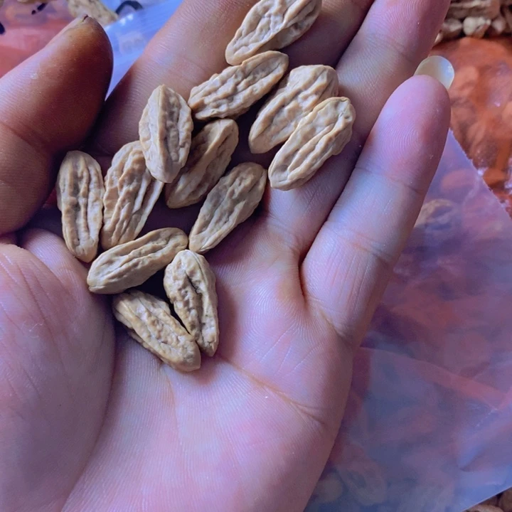 我***。文玩核桃吊坠文玩木质核桃散籽12
