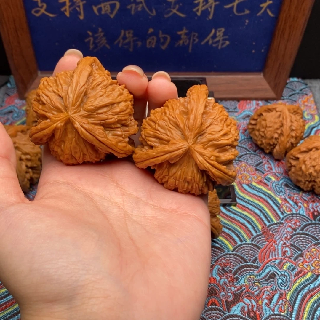 【闪购商品】达*白狮