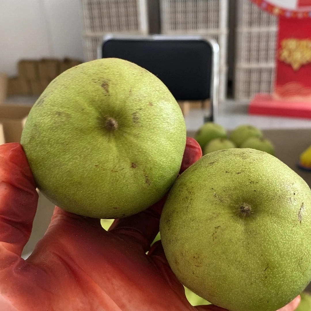 文玩核桃把件龙鼎青皮不退不换