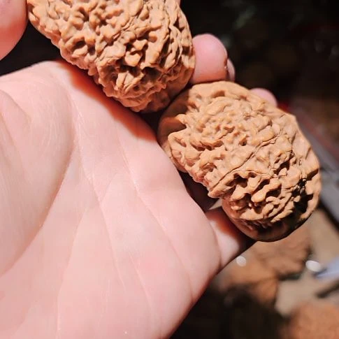 文玩核桃吊坠52龙鼎管帽