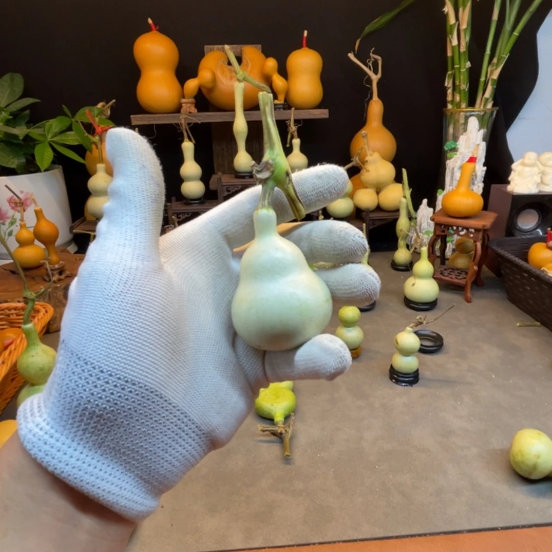 非***白123456789哈哈蓝精灵