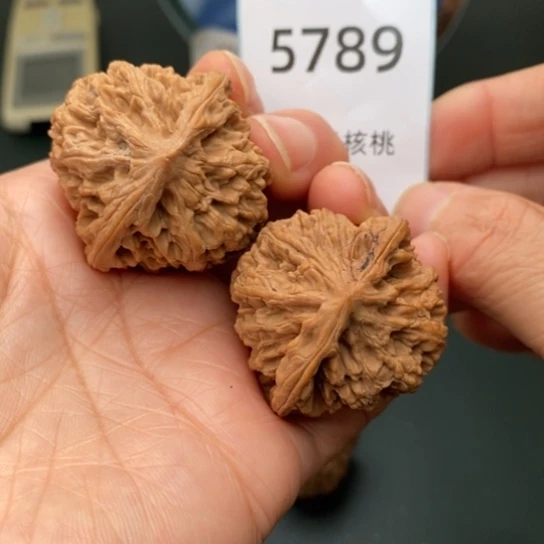 把件文玩核桃37野牛5789