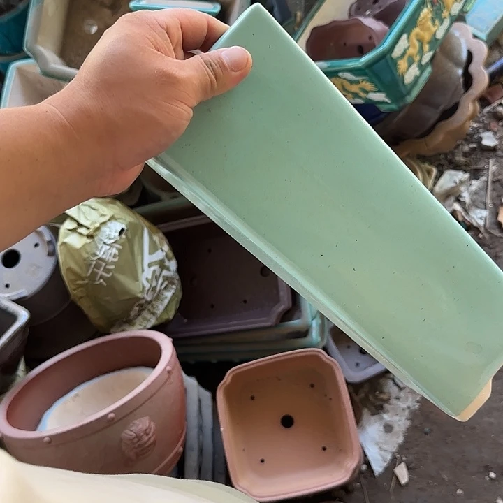 在干嘛的我也睡啦