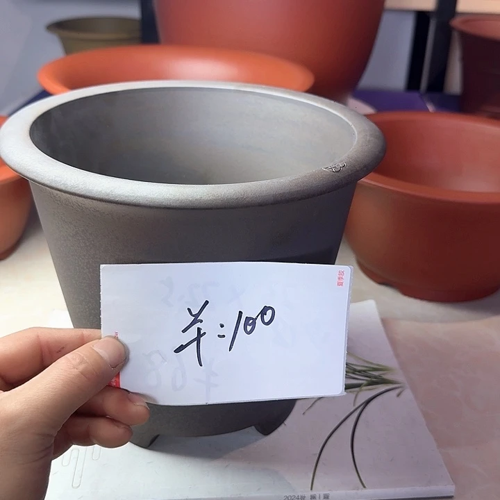 春秋花盆精品兰盆