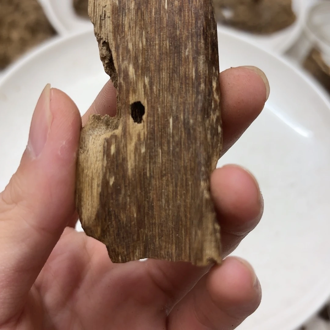 沉香沉香碎屑虫漏8克