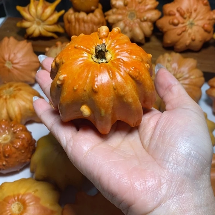 微微瑕花疙瘩不退不换