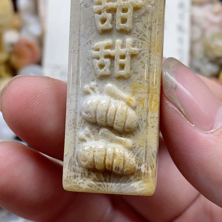 颈饰未镶嵌硅化珊瑚（珊瑚玉）