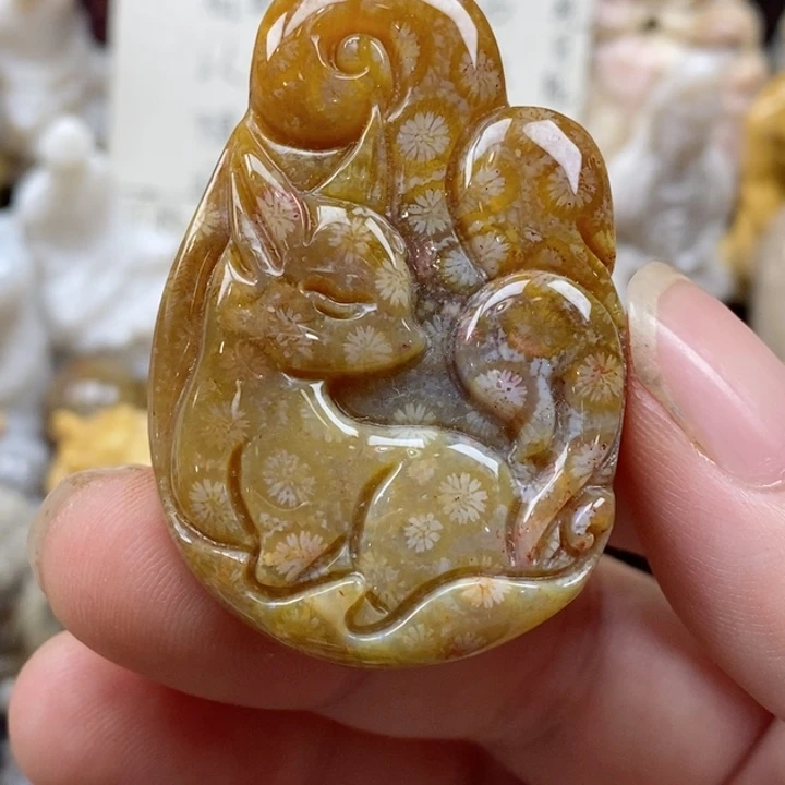 颈饰未镶嵌硅化珊瑚（珊瑚玉）