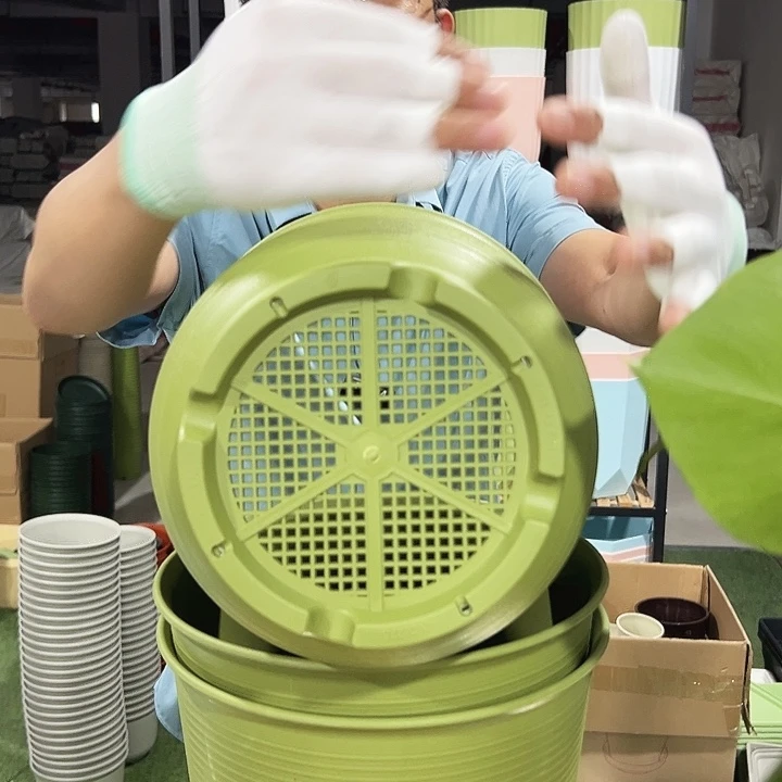 高陶21口27高27果绿无托3只