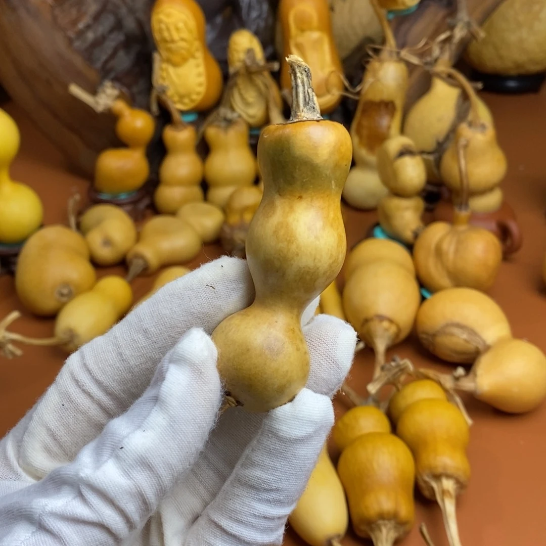 小***禄教练教练咯教练咯教练咯