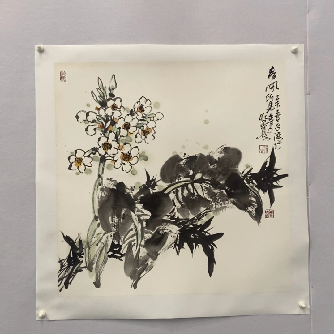 国画墨鱼精品墨鱼精品