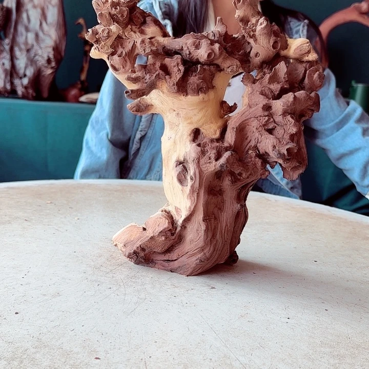 黑果木赵*保356金丝红木羊蹄甲