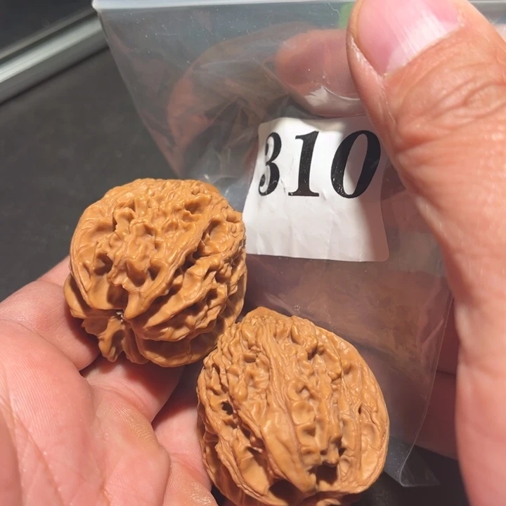 核桃1111111111111111