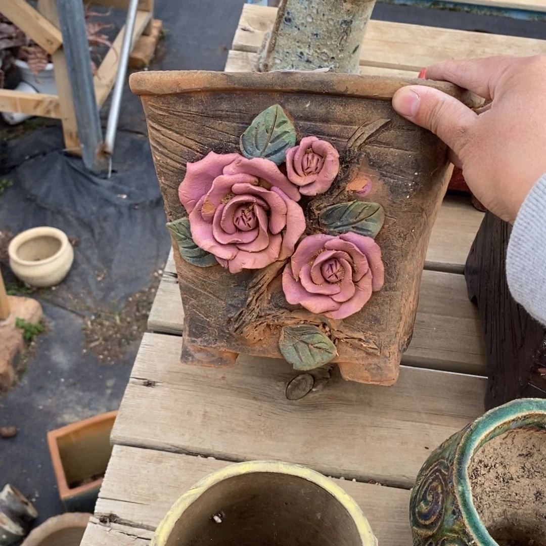 红陶飘**飞48号多肉盆一个呀