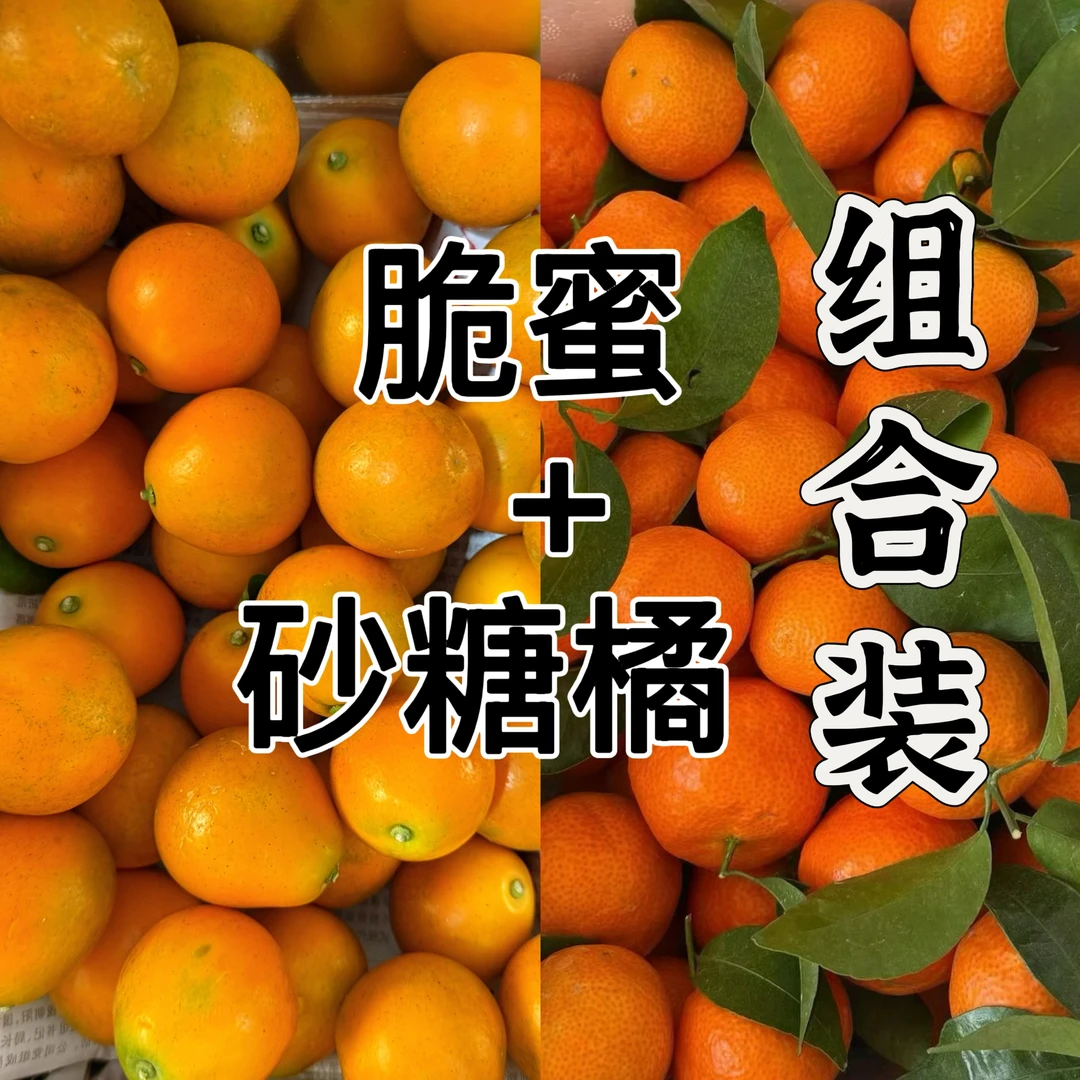 【组合装.脆蜜+砂糖橘】融安金桔爆甜水多新鲜入口化渣冰糖芯顺丰