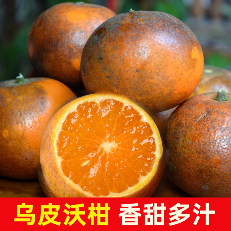 广西乌柑花皮沃柑黑皮丑橙柑橘脏脏橘子香甜多汁新鲜水果5/9斤