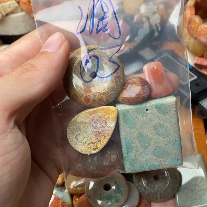 凋***颈饰未镶嵌硅化珊瑚（珊瑚玉）