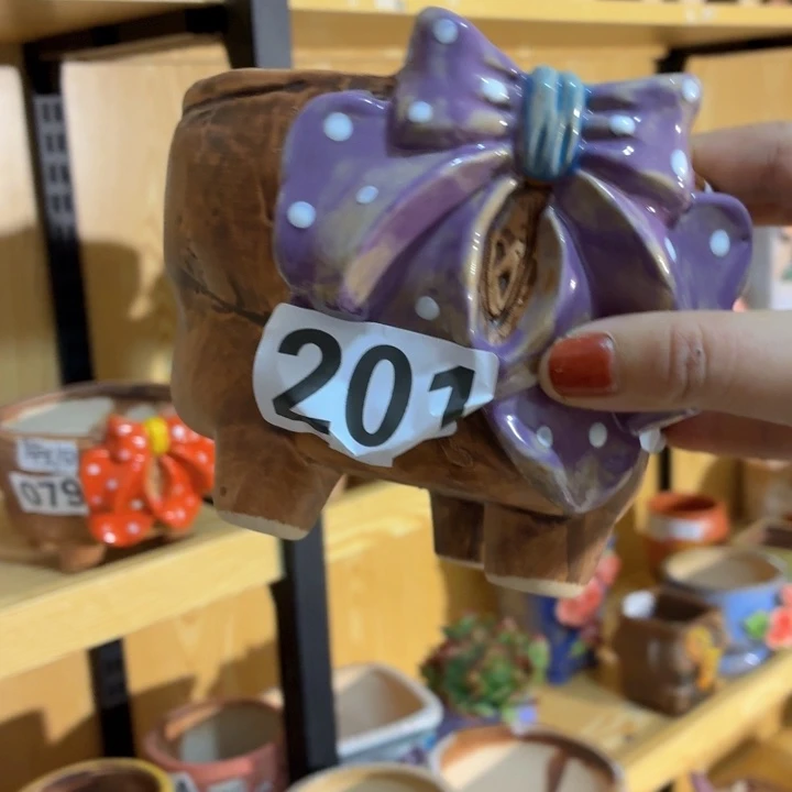 多肉花盆满15包邮