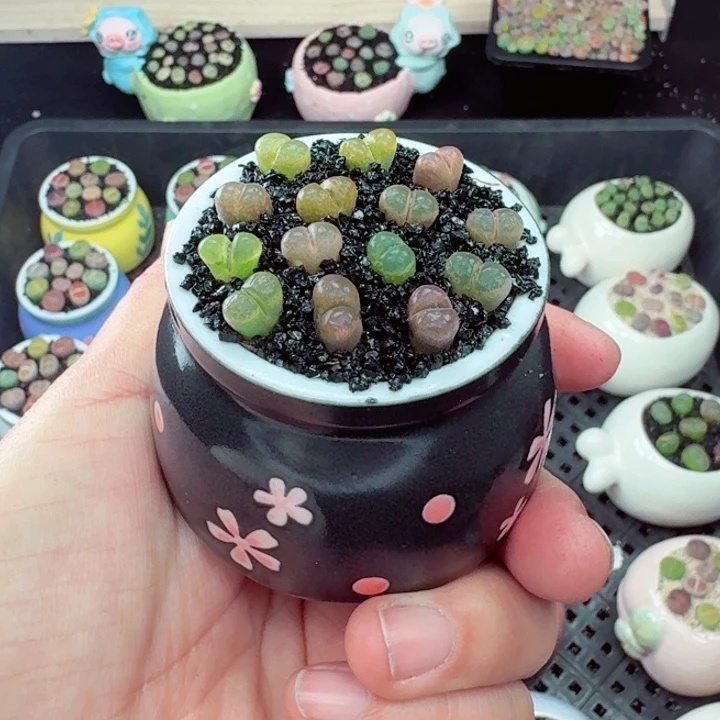 329零下地区记得拍保温箱满18包邮