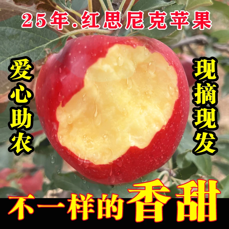 【2025年新果】脆粉香甜微瑕红思尼克苹果陕西洛川产地直发孕妇ly2.
