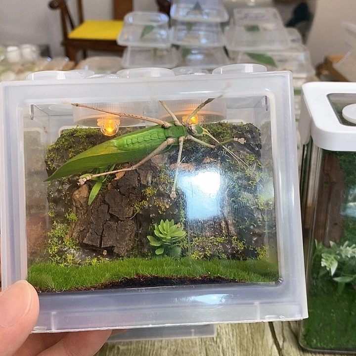 素背积木盒套装啊啊啊