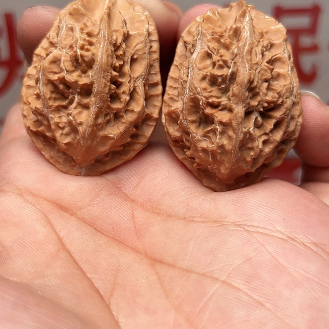 吊坠文玩核桃甲壳虫