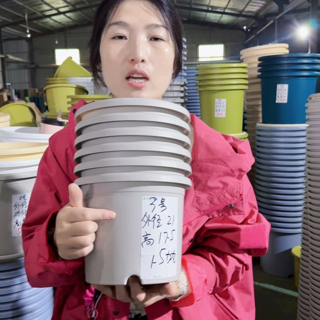 微瑕3#无拖灰白10个