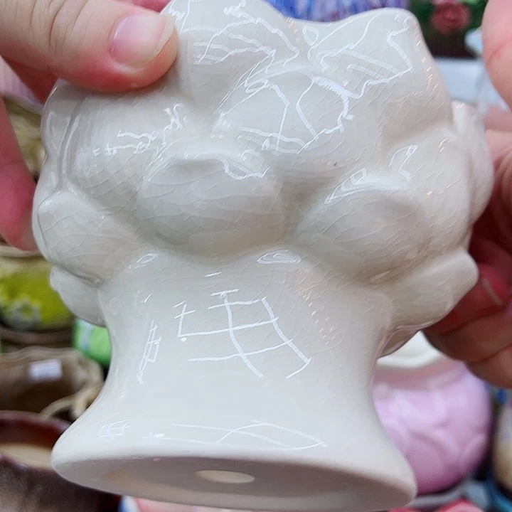 多肉植物陶瓷花盆