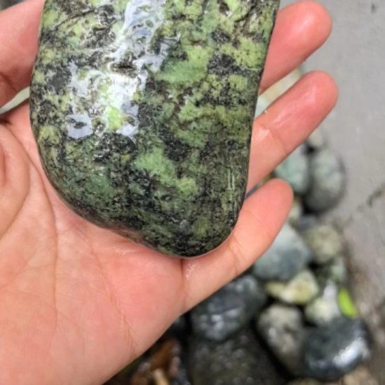 水***明有机玻璃藏玉药王石原石手把件一个