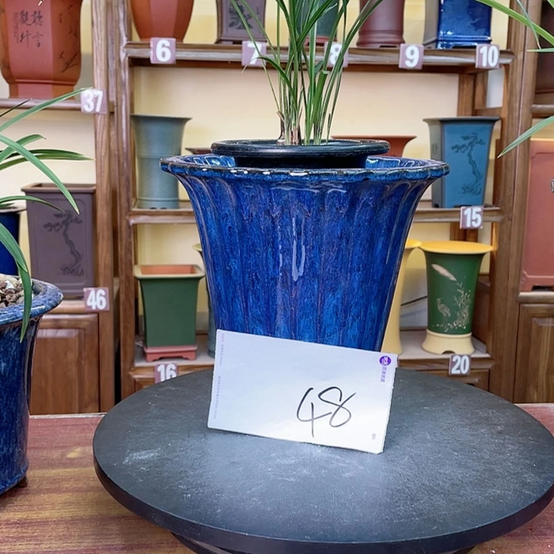 【闪购商品】紫砂花盆白*兰花25555566555555887