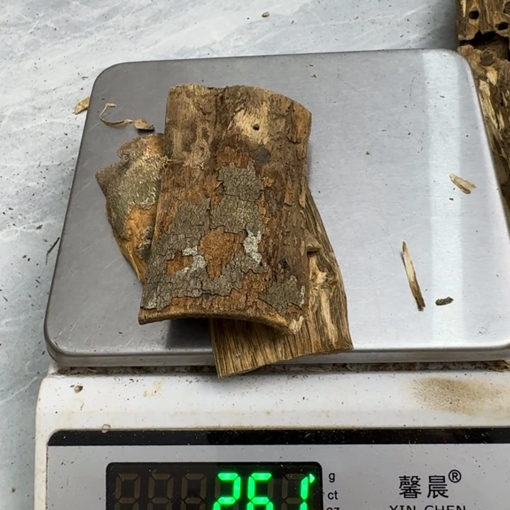 常***树沉香沉香碎屑绿绮楠沉香26克