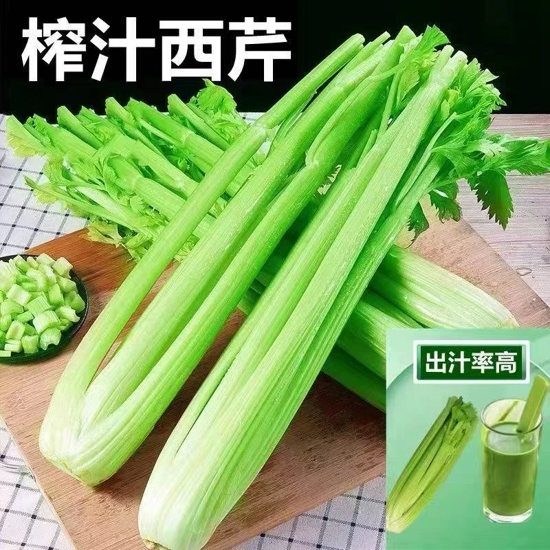 新鲜现挖西芹脆嫩多汁可榨汁可生吃的低脂蔬菜