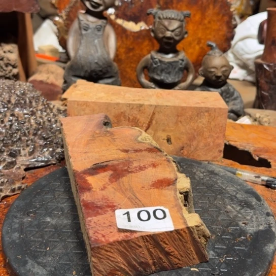 大果紫檀（缅甸花梨）