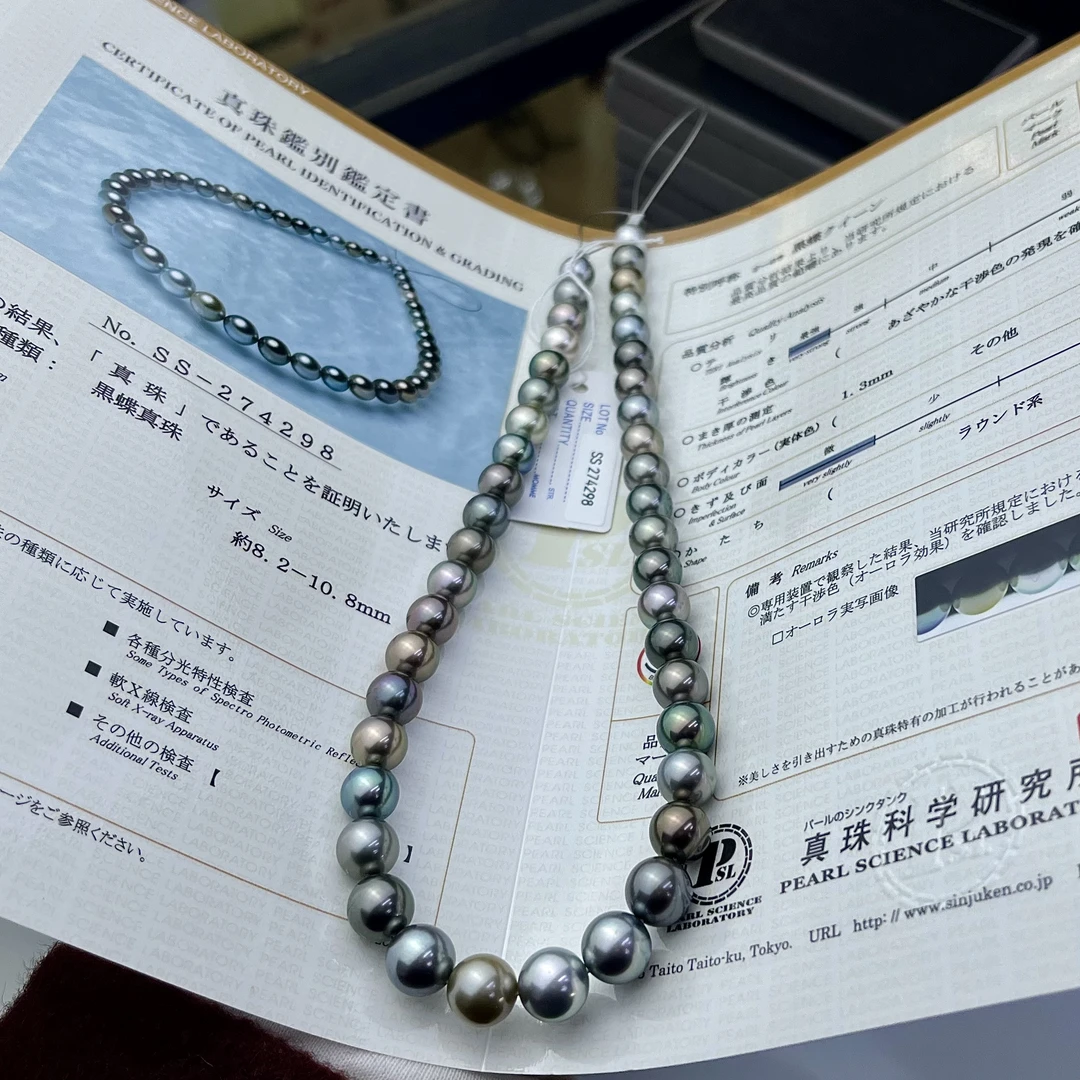 【小彤专属定制】大溪地混彩真科研ss黑蝶8-11mmRY8888