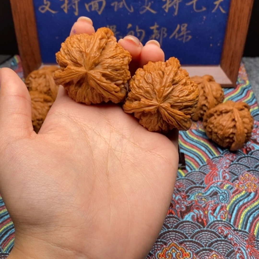 【闪购商品】L****z白狮子111111