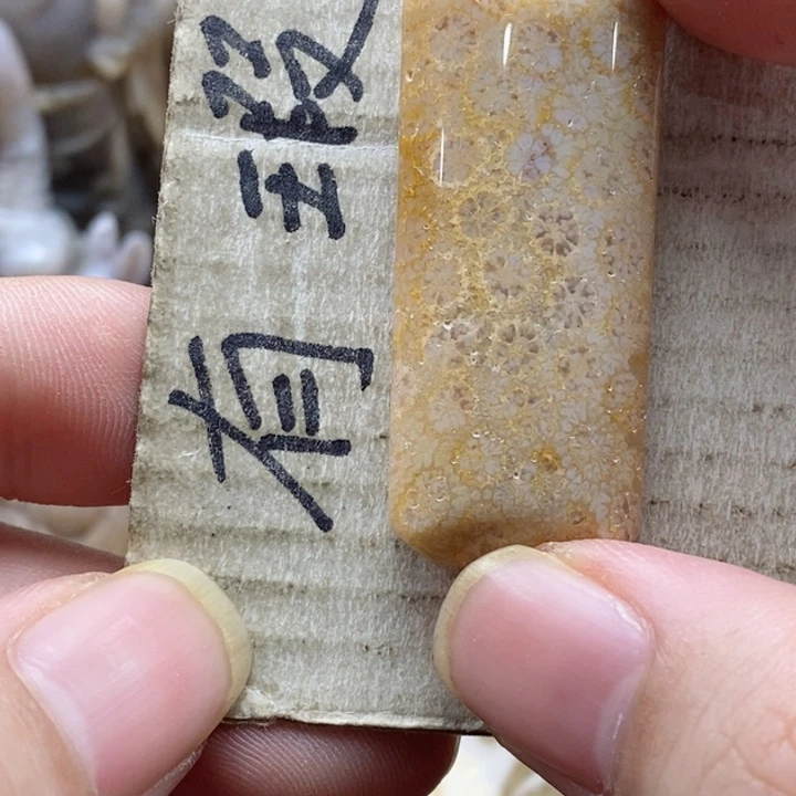 硅化珊瑚（珊瑚玉）颈饰未镶嵌小吊坠