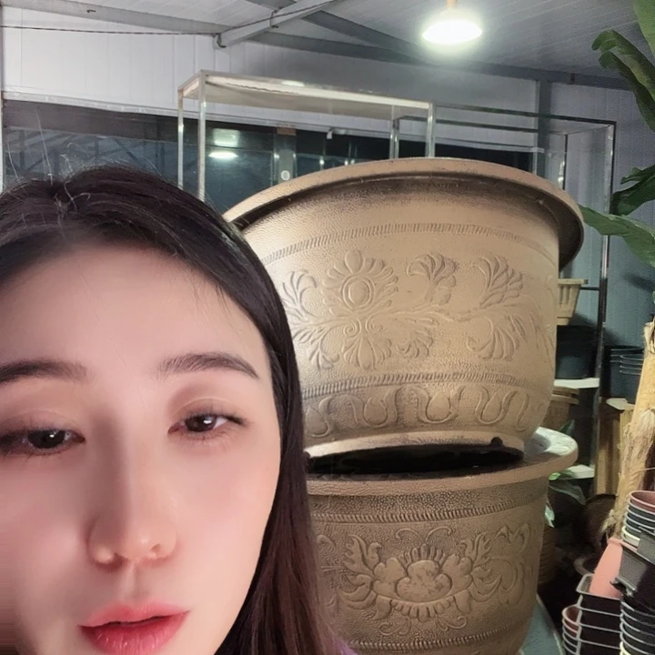 圆78口径花盆两个
