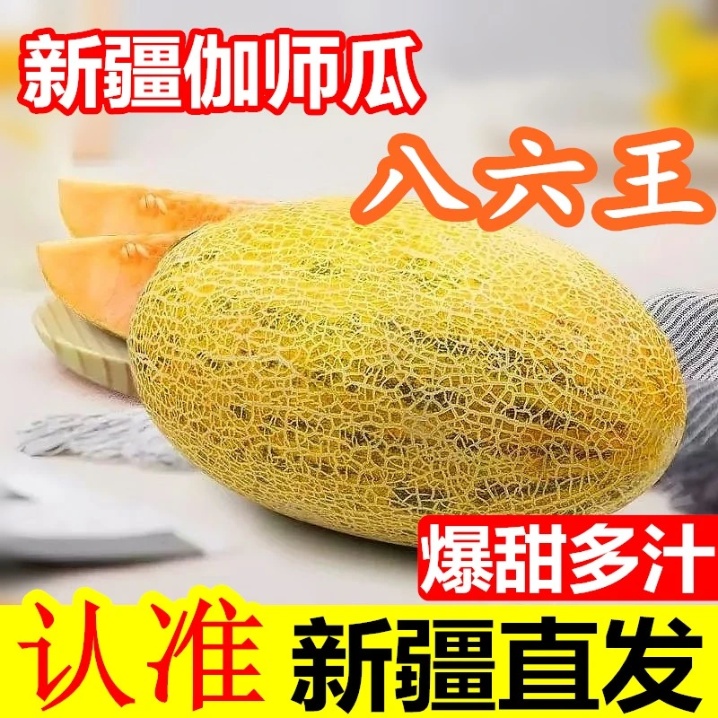 【D 京东/顺丰 】新疆正宗伽师瓜八六王哈密瓜脆甜多汁新鲜采摘