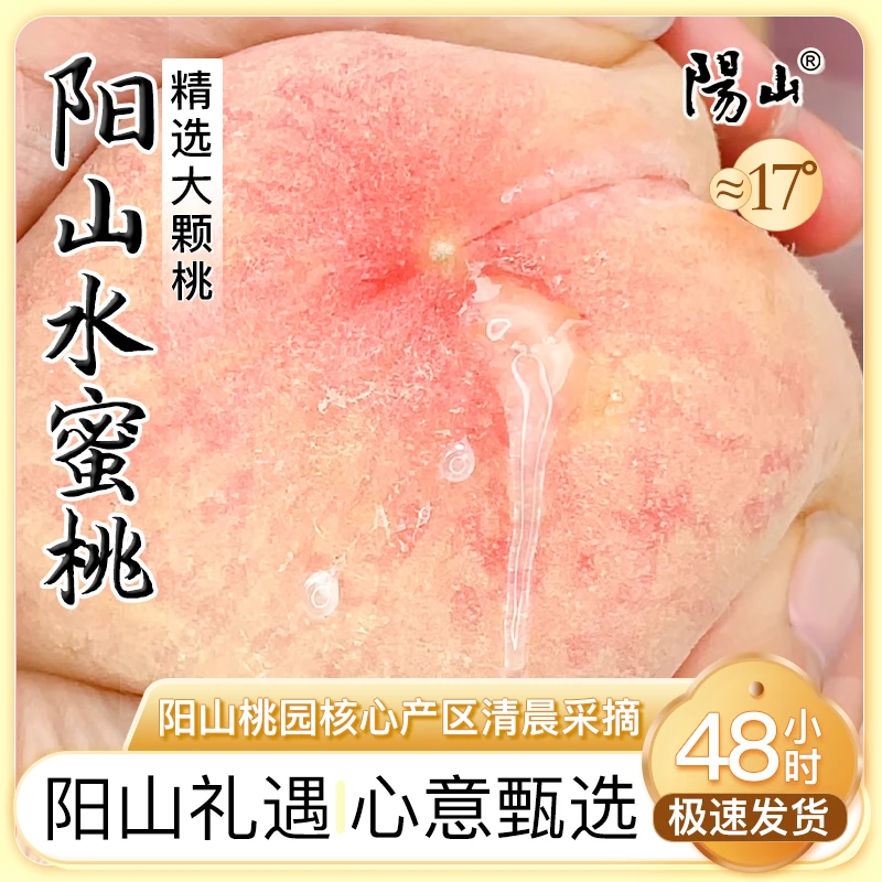 a【天霸】无锡阳山水蜜桃单果9两-1斤6个装新鲜采摘桃子