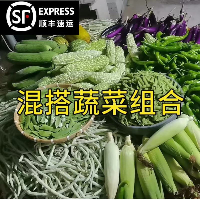 【蔬菜混搭3-4斤】江西农家自种本地新鲜菜都是现摘现发 顺丰包邮