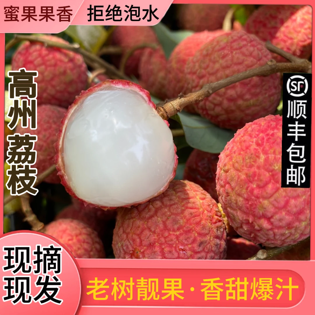 广东茂名高州白糖罂荔枝果园现摘直发新鲜荔枝孕妇水果礼盒批发