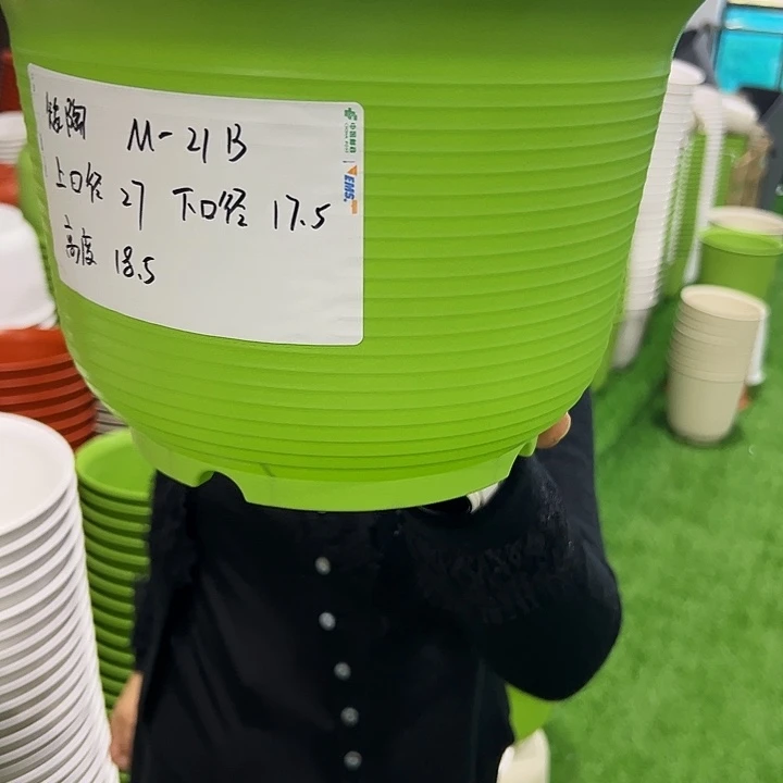 正品矮陶口27高18.5果绿无托6只