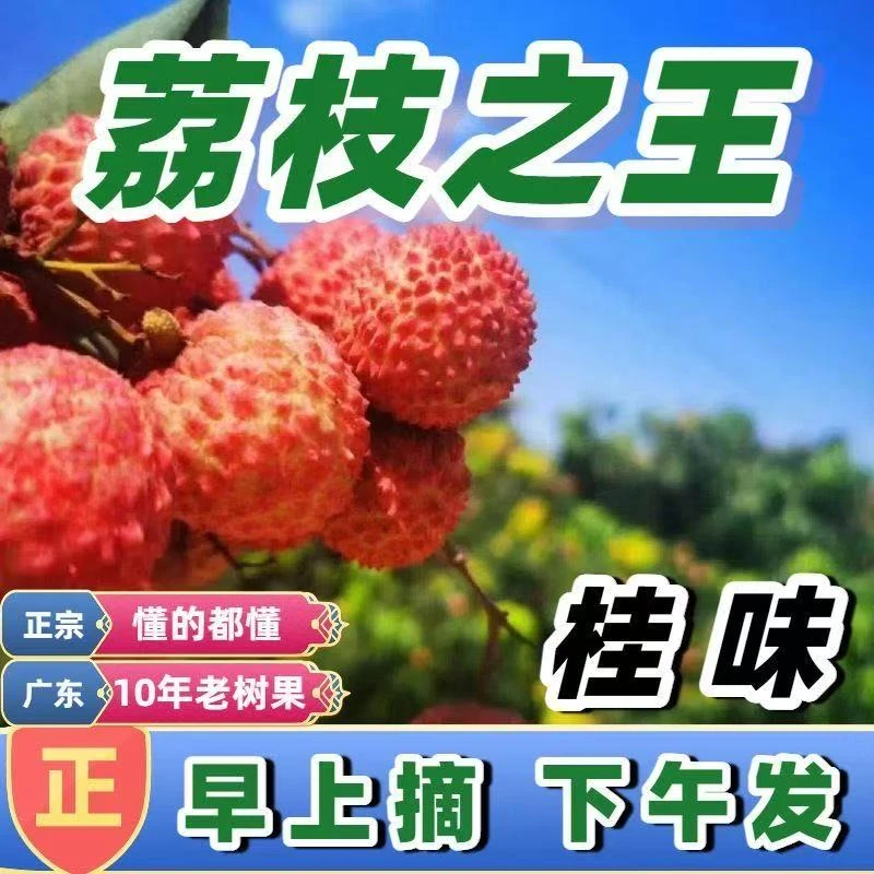 【荔枝专线】2025新鲜桂味荔枝当季新鲜现摘水果