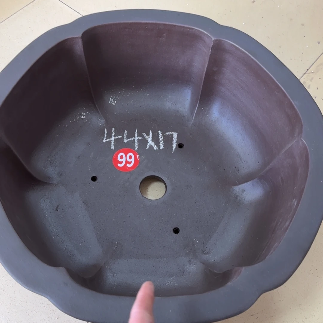 紫砂花盆我呜呜呜呜呜