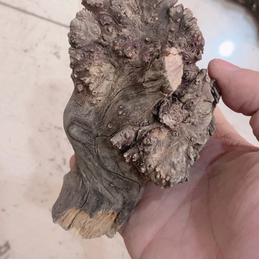 【闪购商品】柏木深**兰太行天下第一