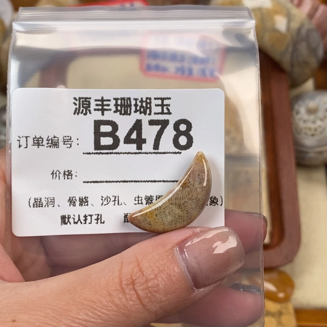 硅化玉颈饰未镶嵌L*-