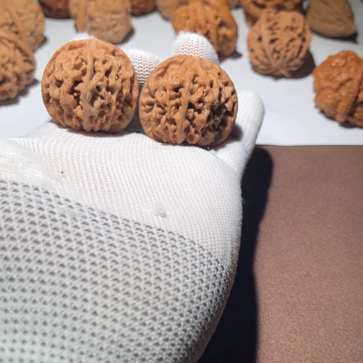 幕***者精品小秦闷37尺寸