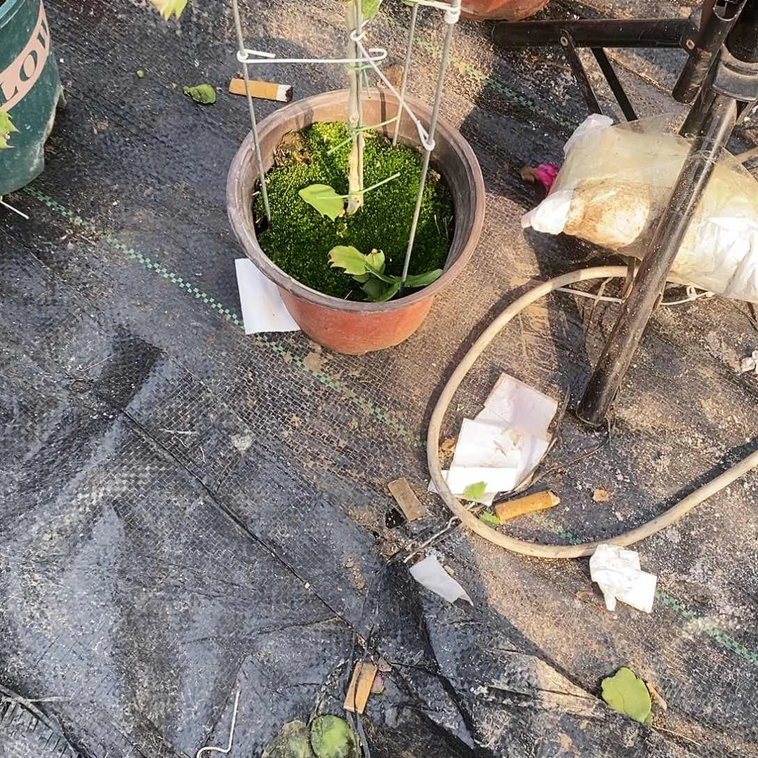 用***1完全开放福利款双色