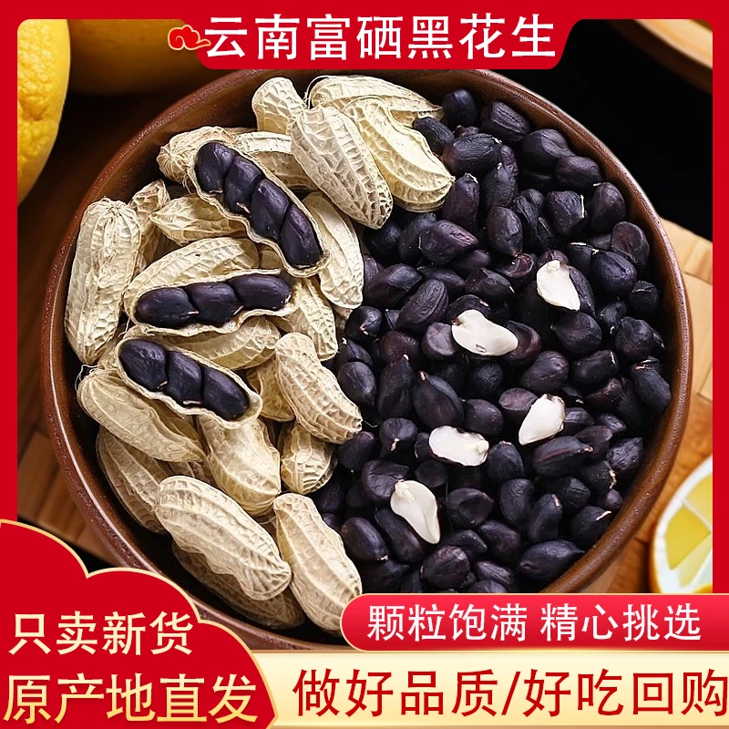 云南新鲜黑花生带壳正宗富硒老品种晒干生非熟营养健康普洱特产