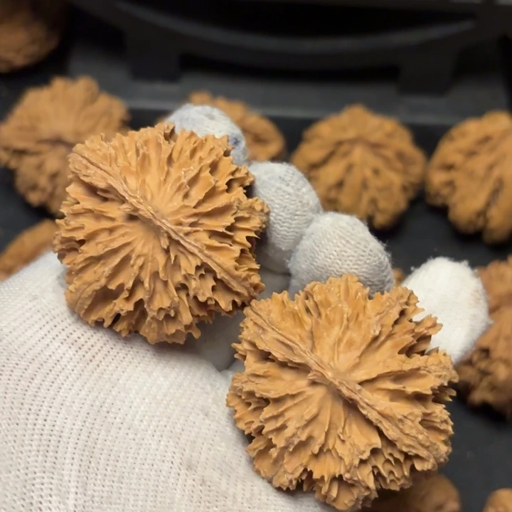 黎***…文玩核桃把件秦岭灯笼13